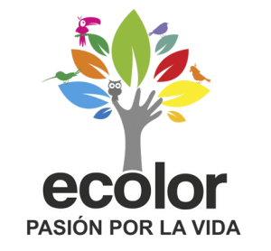 logotipo pinturas ecolor rosa cromática